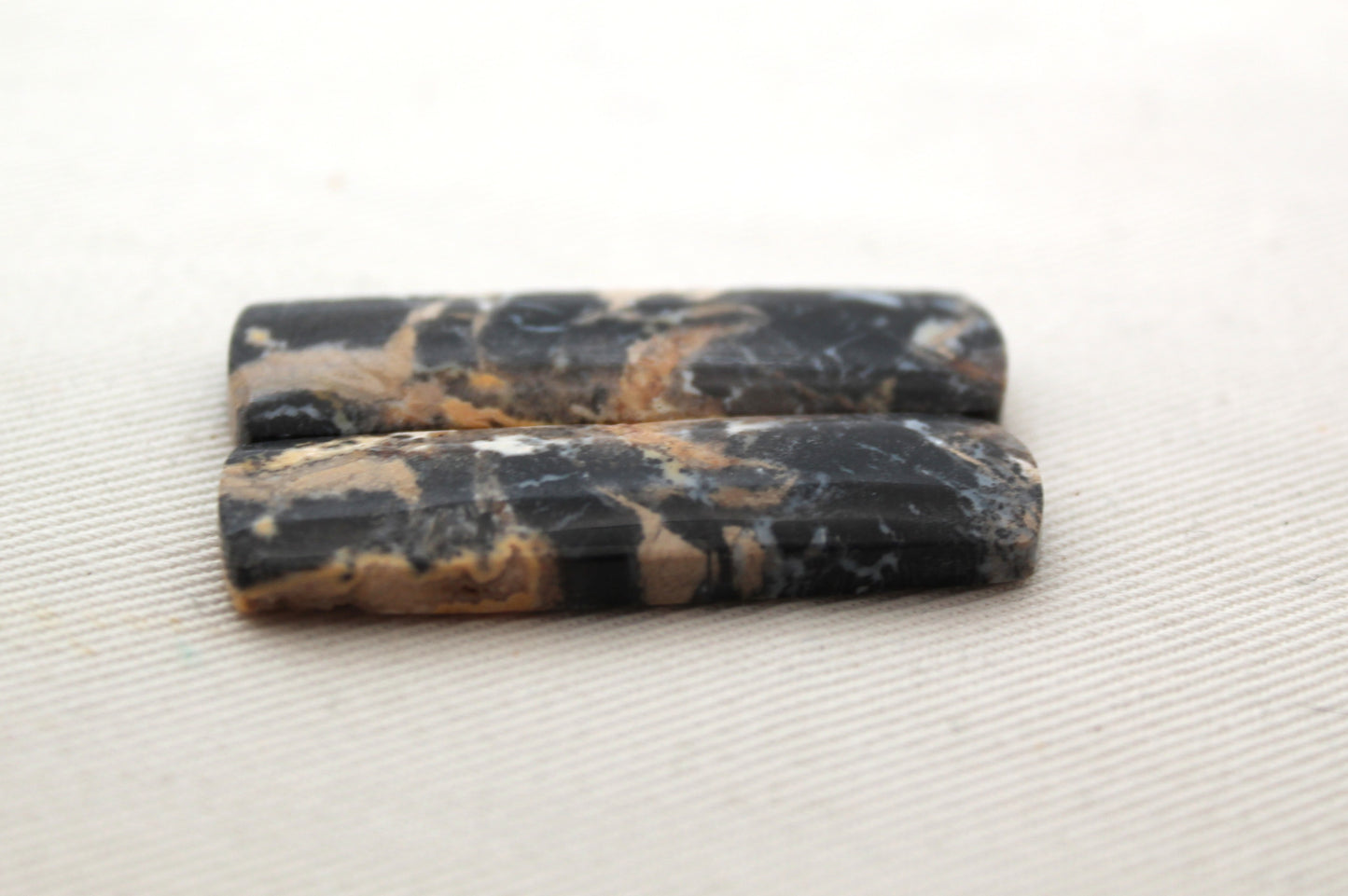 Pair of Petrified Wood rectangle
