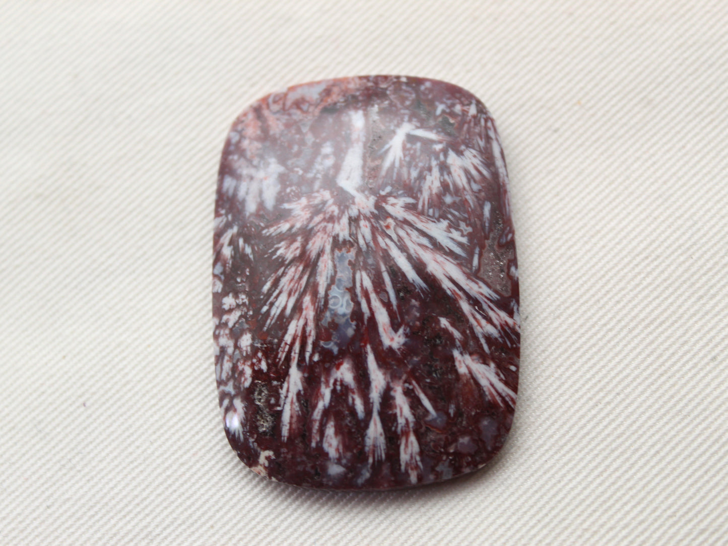 Freeform Sagenite Agate Cabochon Gemstone