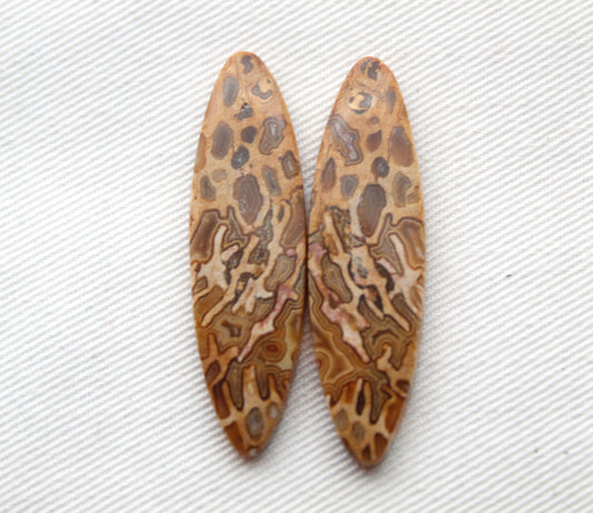 Fossil Palmwood Pair Cabochon Gemstone with druzy pockets Oval