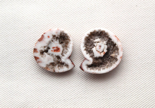 Pair Ammonite Timor Fossil Gemstone freeform rough 22MM