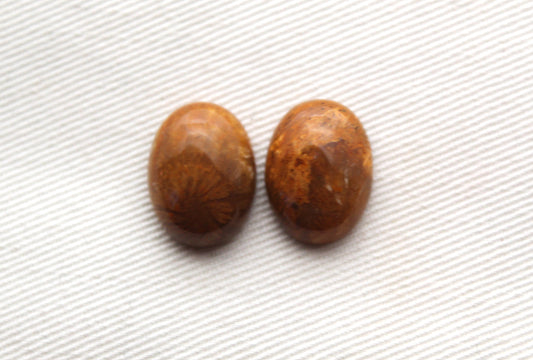 TWO Petrified coral cabochons oval 16X12MM