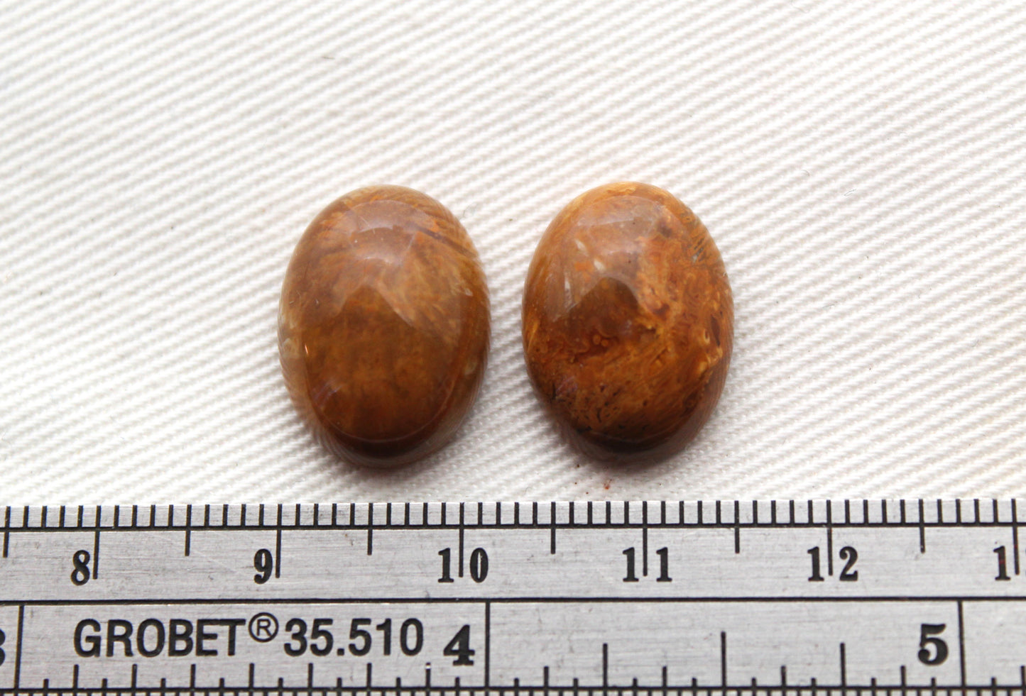 TWO Petrified coral cabochons oval 16X12MM