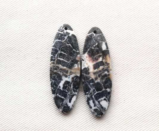 Pair of Petrified Wood Oval DRILLED