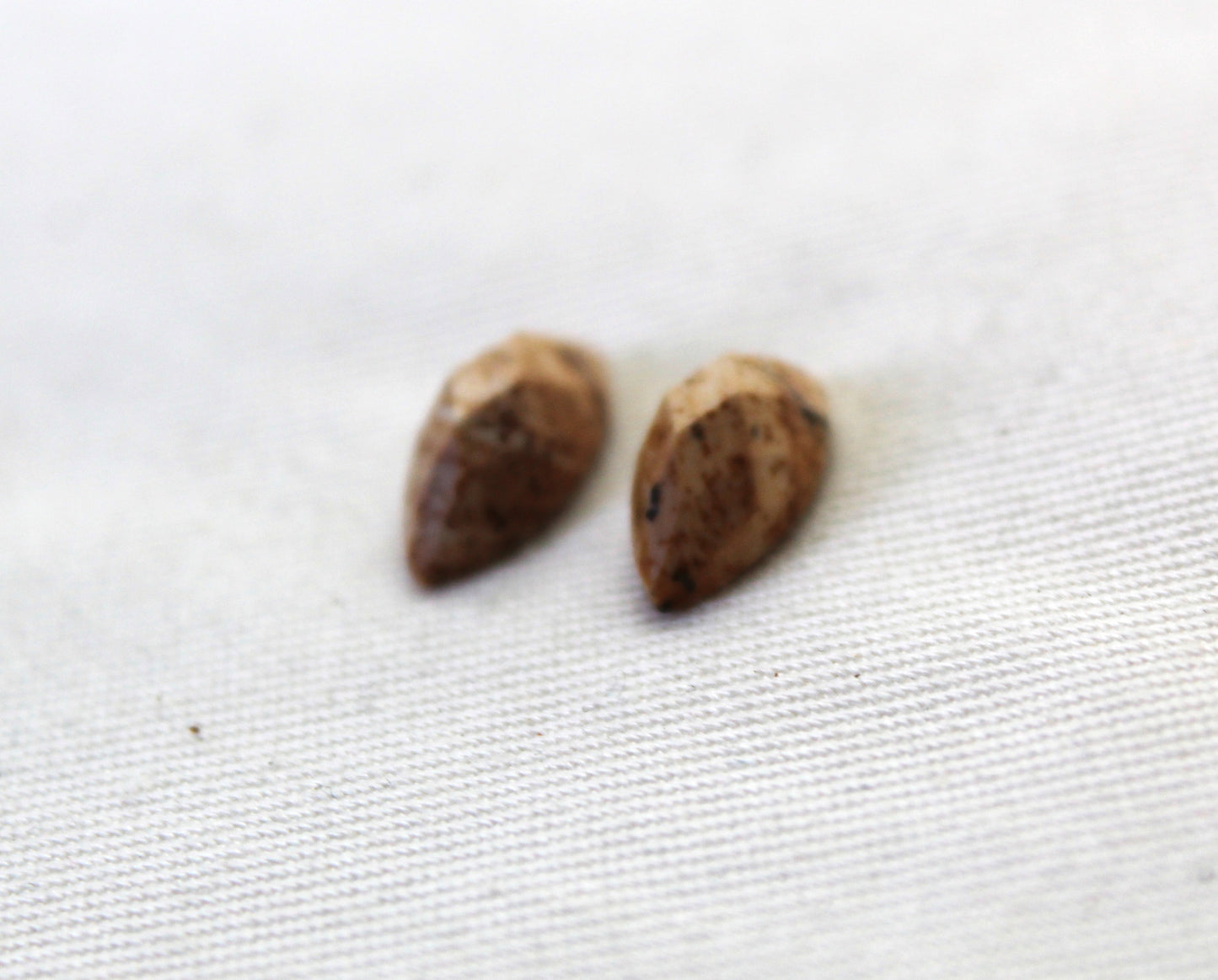 TWO Picture Jasper faceted Cabochons marquise 5X10MM