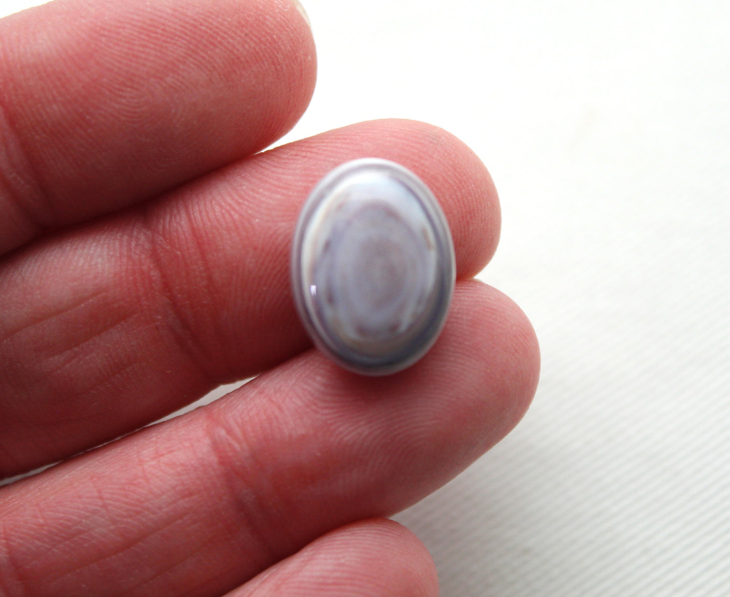 TWO Wampum Quahog Shell Oval 12X16MM purple