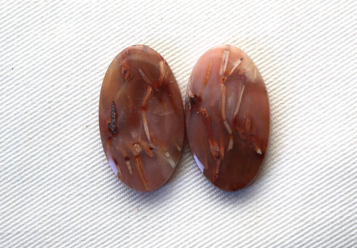 NICE Pair of Petrified Wood Cabochons pink Oval