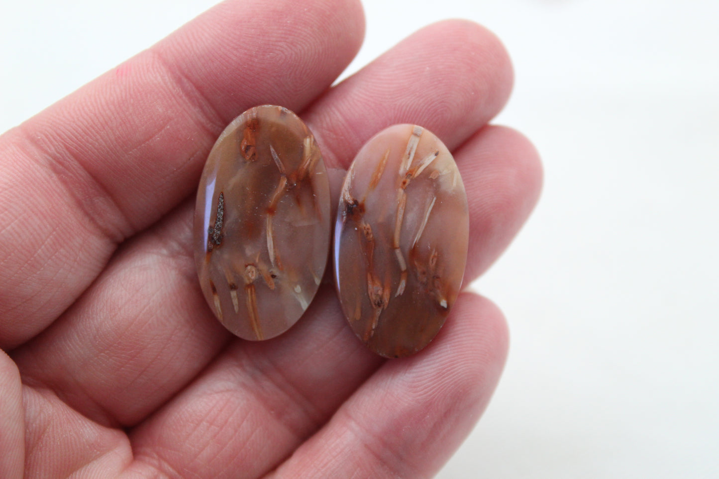 NICE Pair of Petrified Wood Cabochons pink Oval