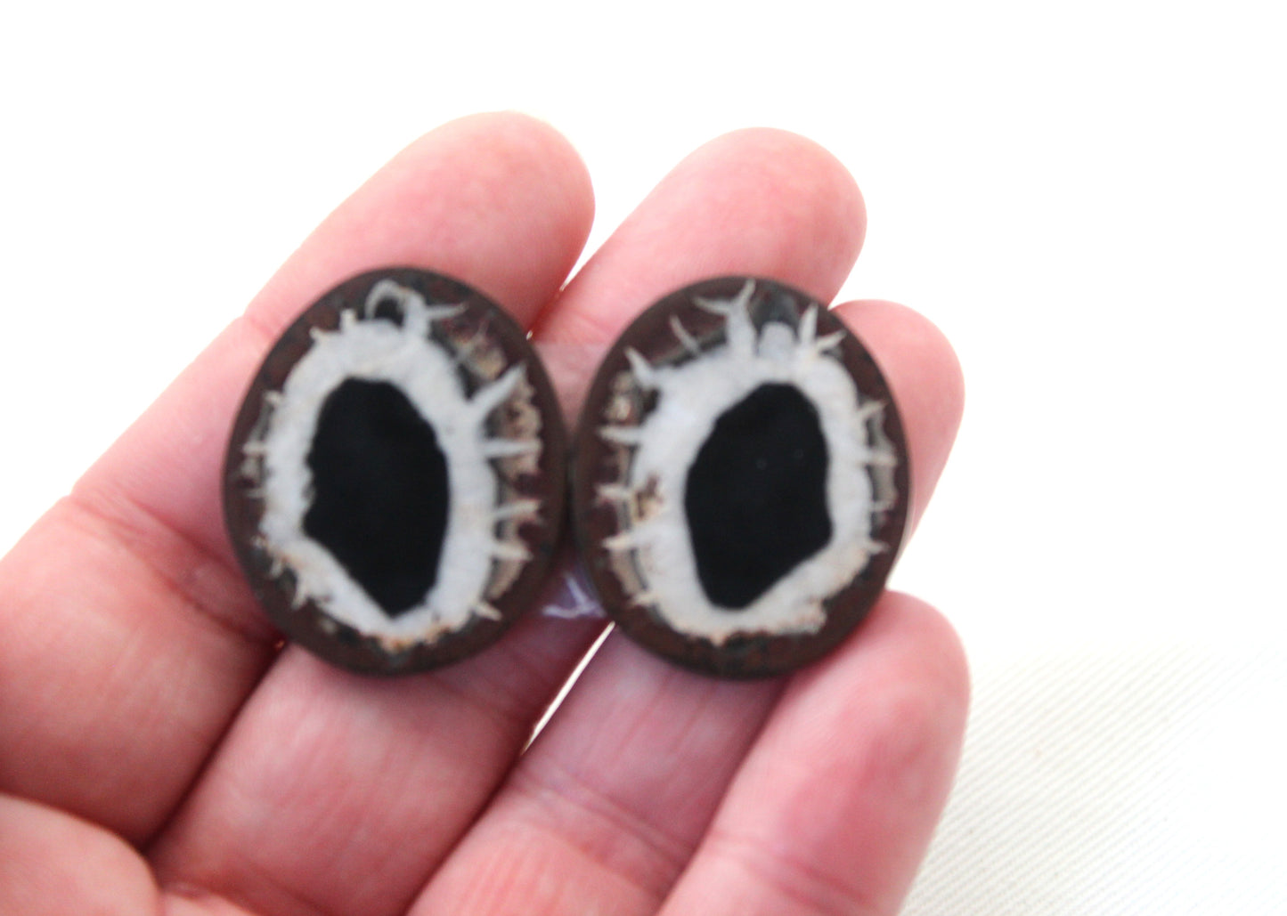 NICE Septarian Nodule Freeform sliced Gemstone Pair