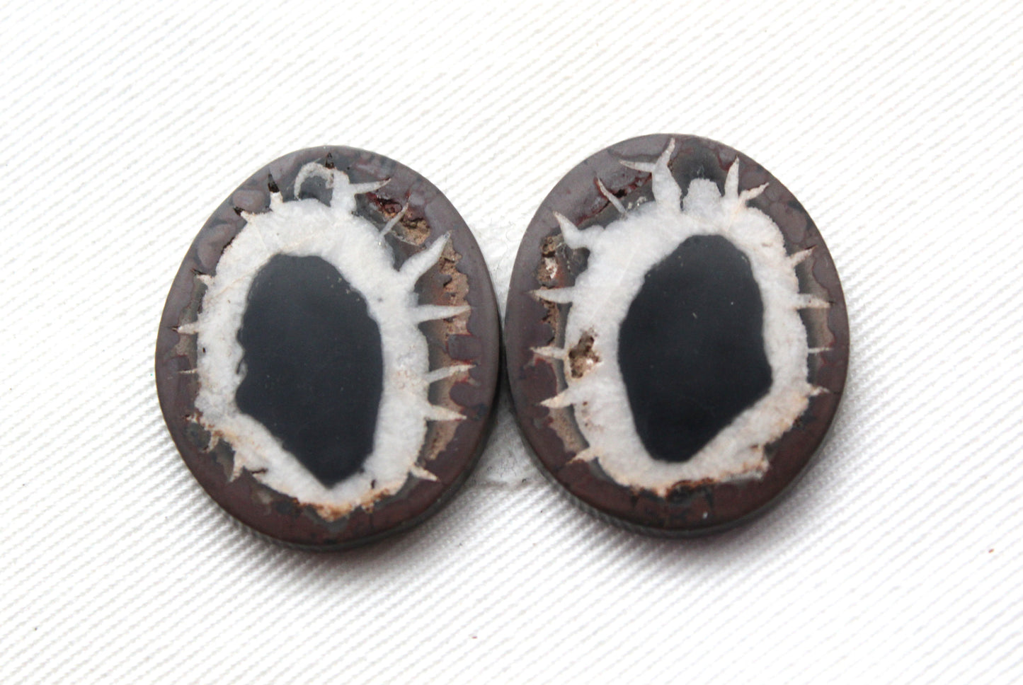NICE Septarian Nodule Freeform sliced Gemstone Pair