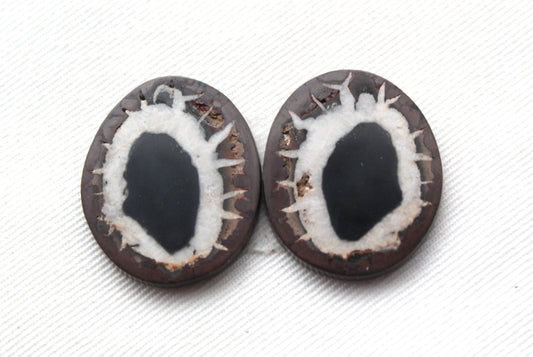 NICE Septarian Nodule Freeform sliced Gemstone Pair
