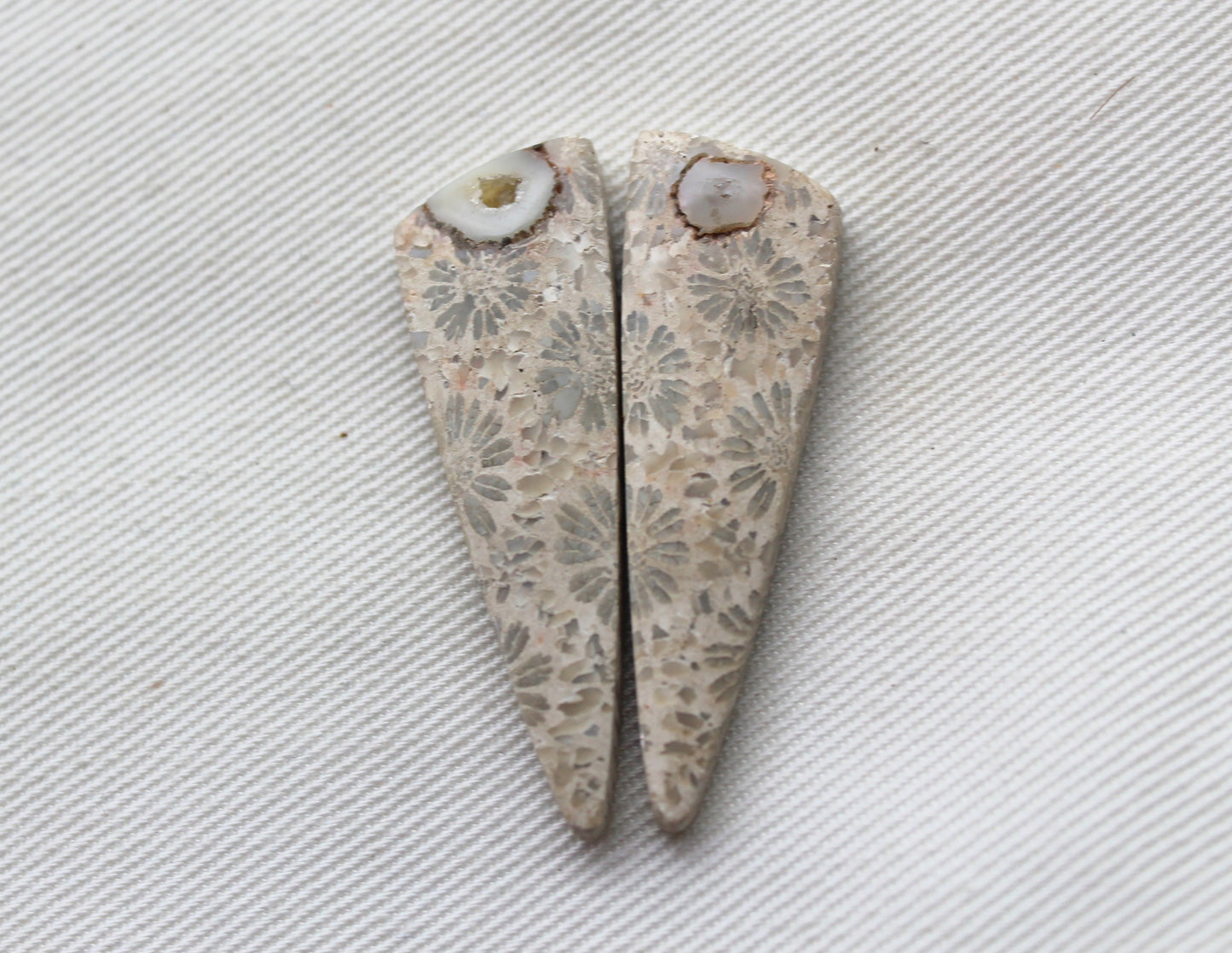 Fossilized Coral Pair of Gemstones cabochon beige natural