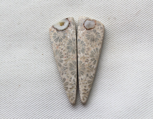 Fossilized Coral Pair of Gemstones cabochon beige natural