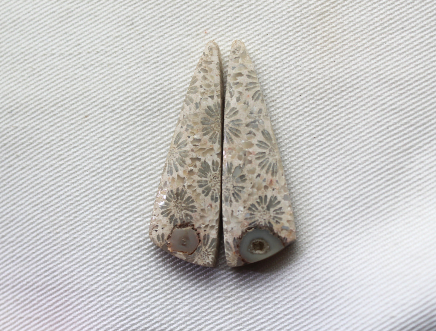 Fossilized Coral Pair of Gemstones cabochon beige natural