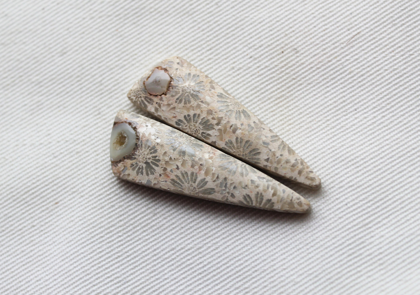 Fossilized Coral Pair of Gemstones cabochon beige natural