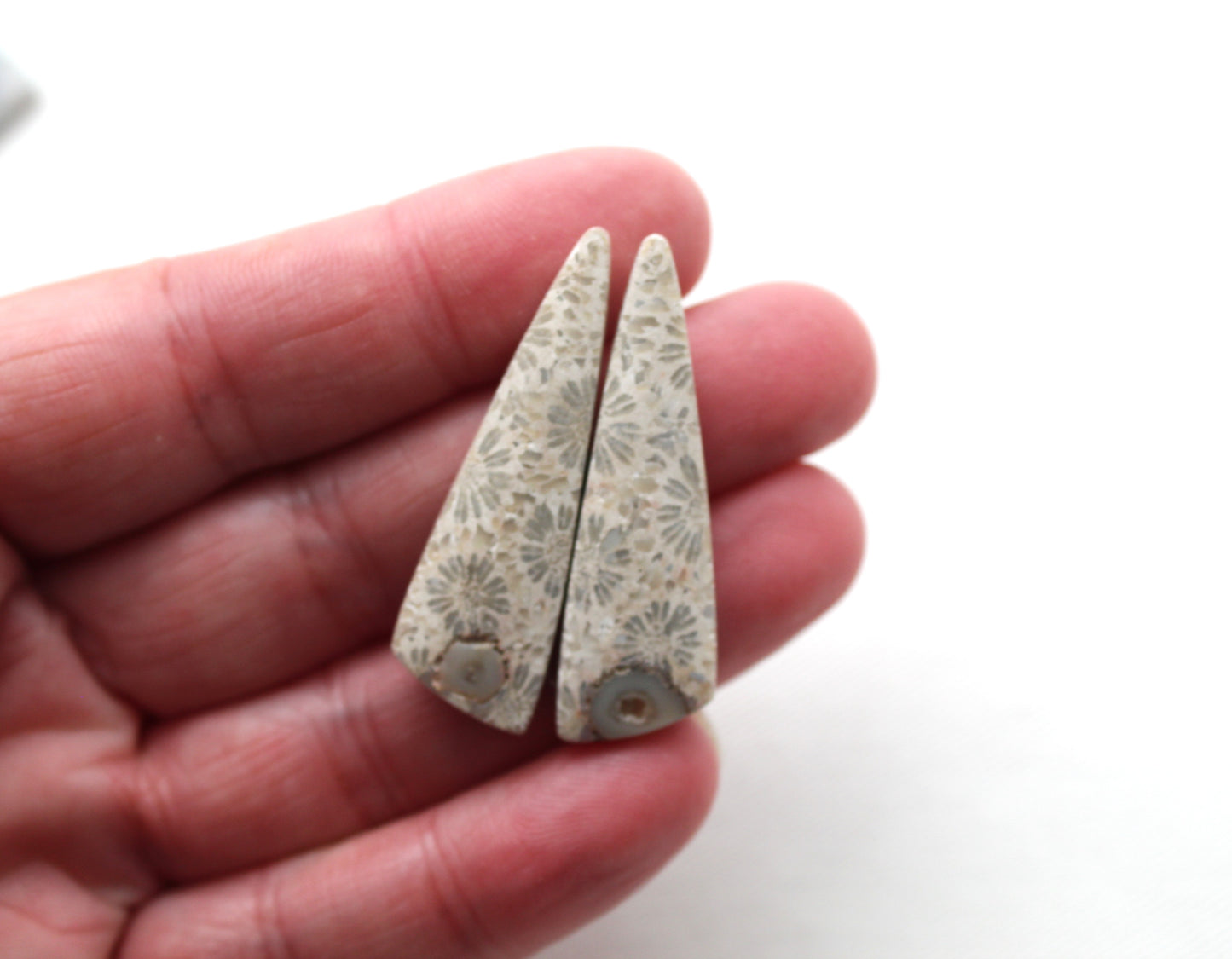 Fossilized Coral Pair of Gemstones cabochon beige natural