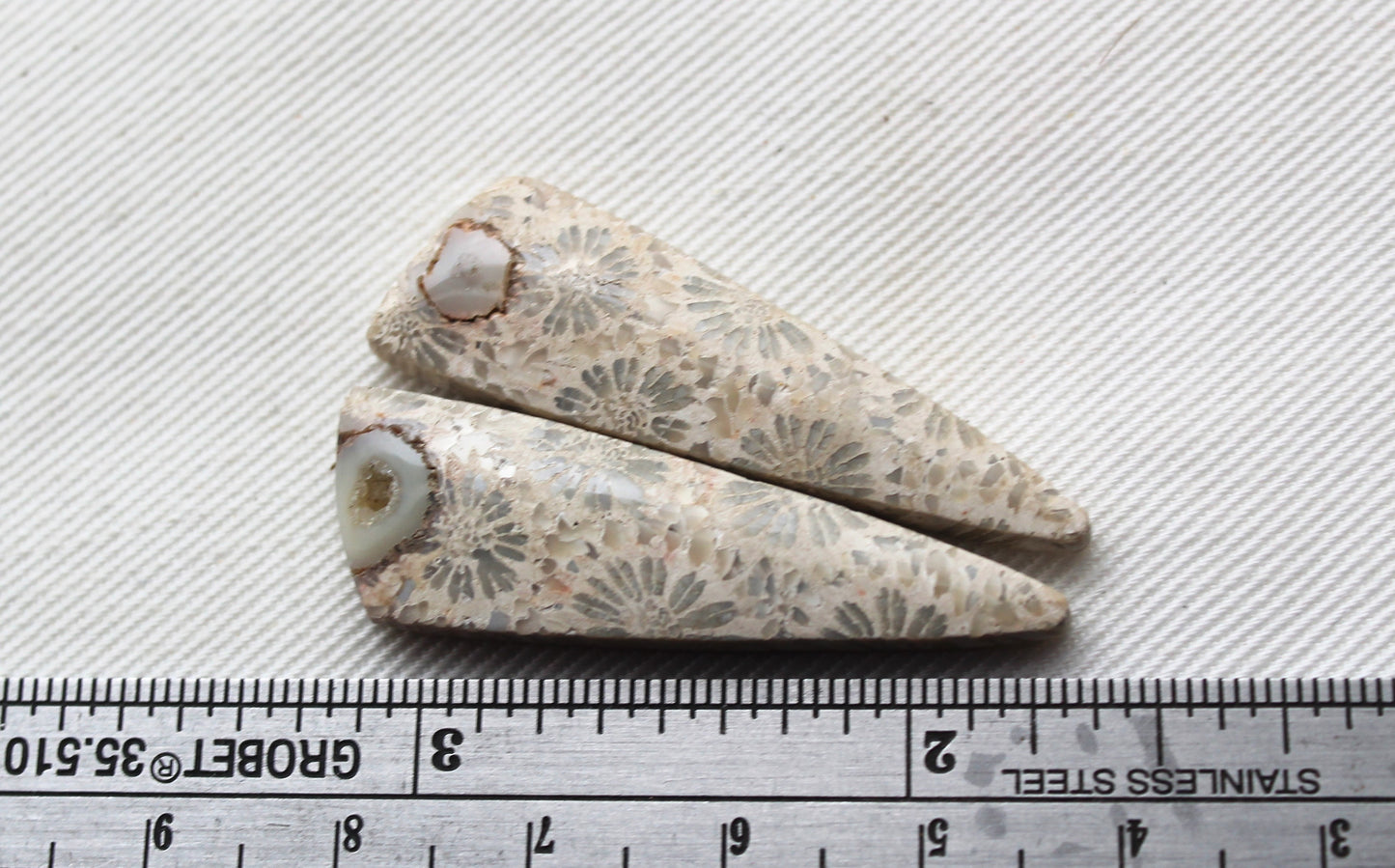 Fossilized Coral Pair of Gemstones cabochon beige natural