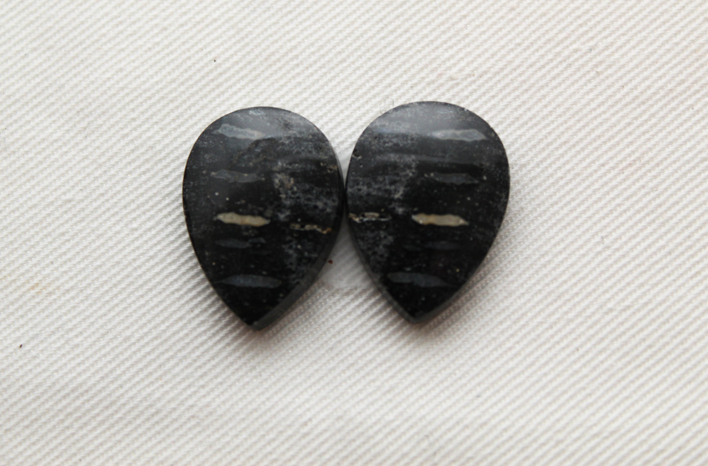 Palm Root Bone Cabochon Pair natural gemstones pear