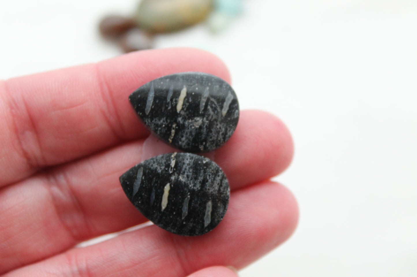 Palm Root Bone Cabochon Pair natural gemstones pear