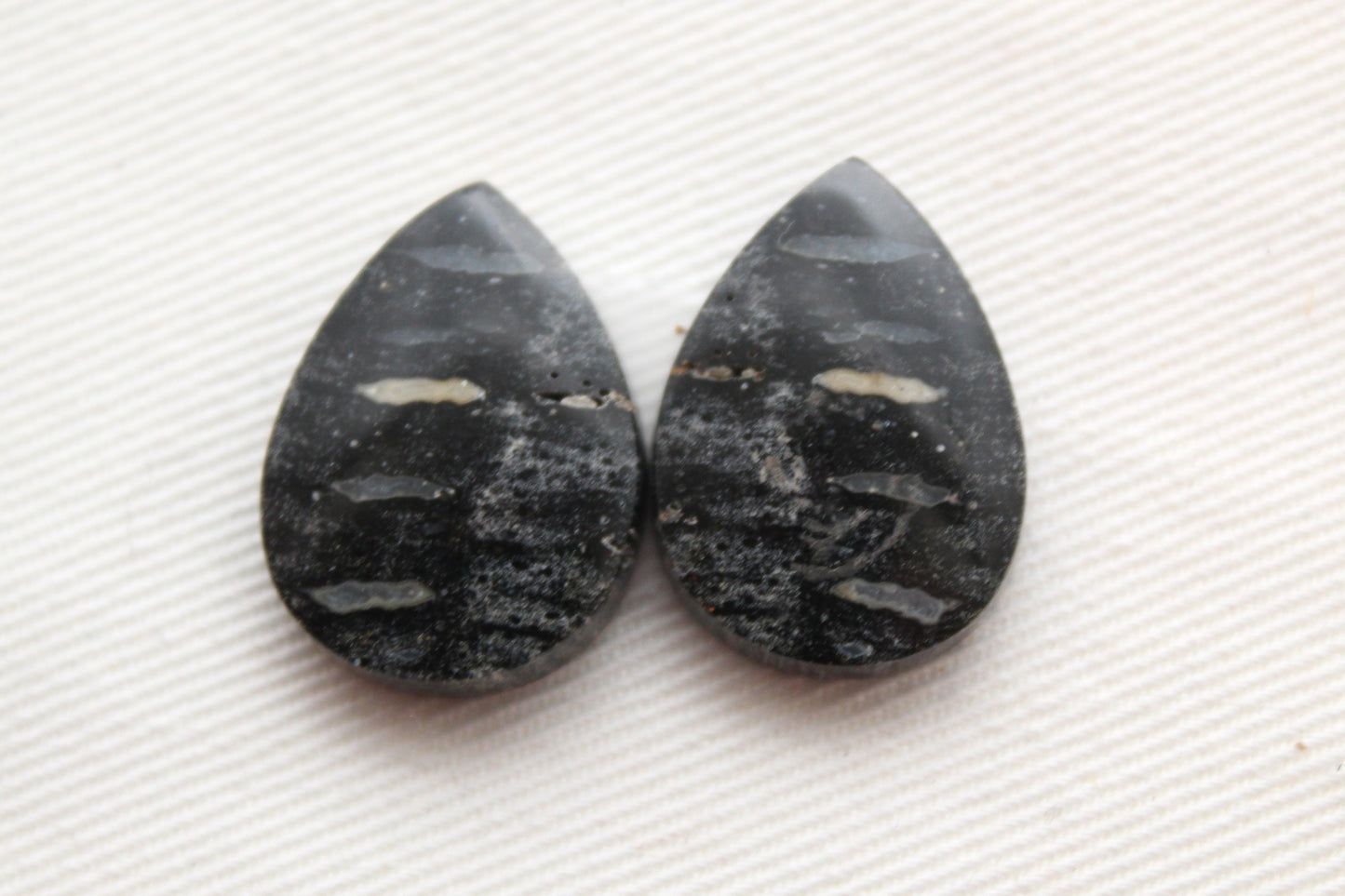 Palm Root Bone Cabochon Pair natural gemstones pear