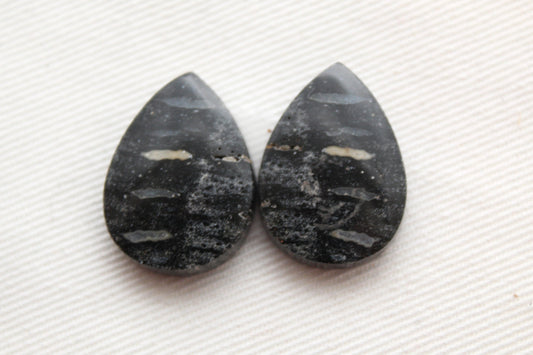 Palm Root Bone Cabochon Pair natural gemstones pear