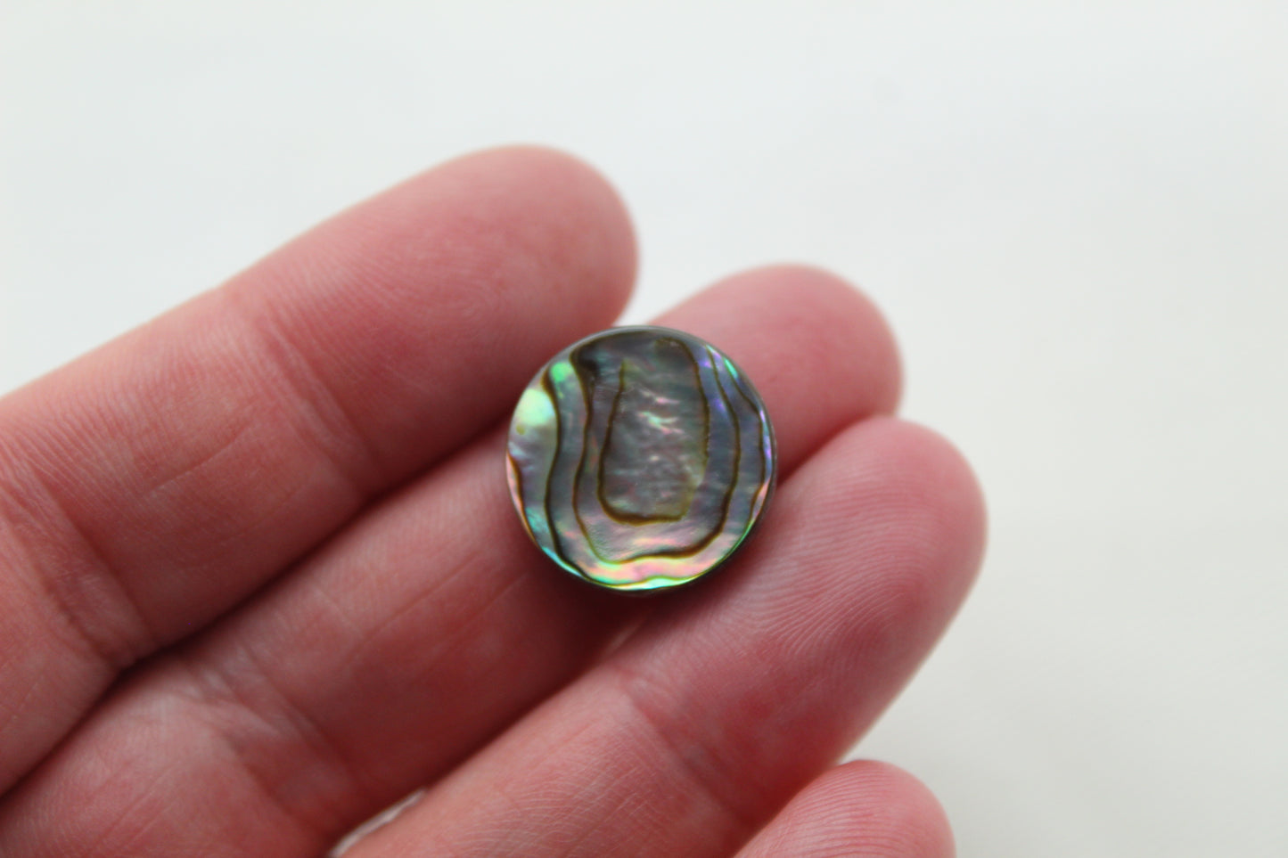 Lot of TWO Abalone DoUBLET round Cabochon 16MM