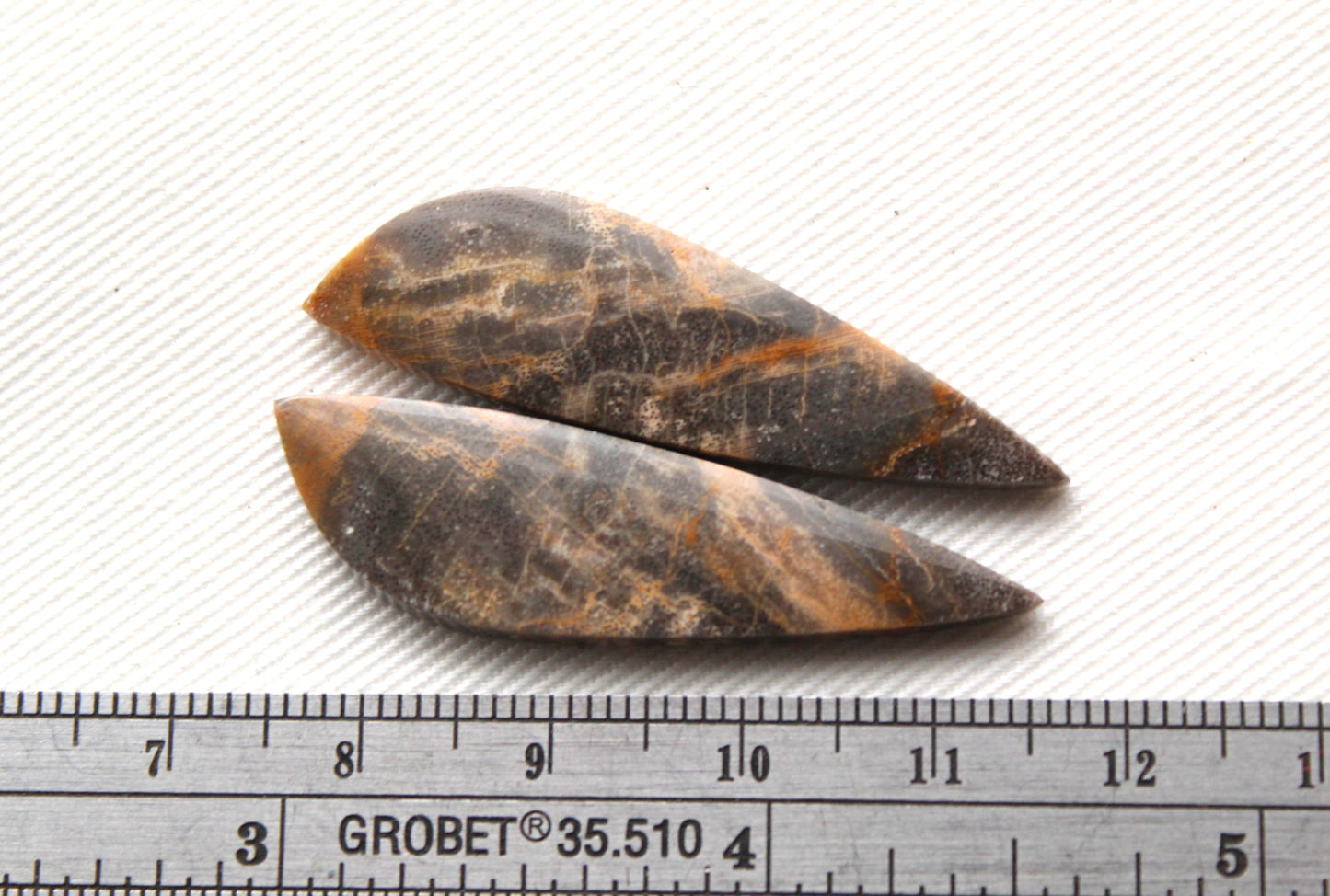 Nice pair of Petrified Wood Cabochons
