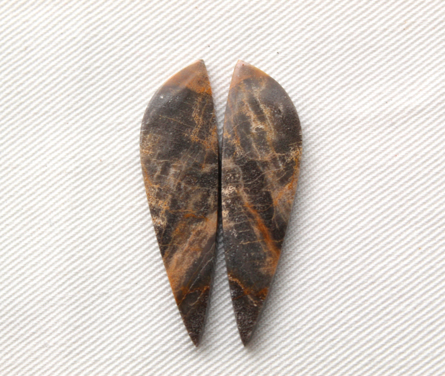Nice pair of Petrified Wood Cabochons