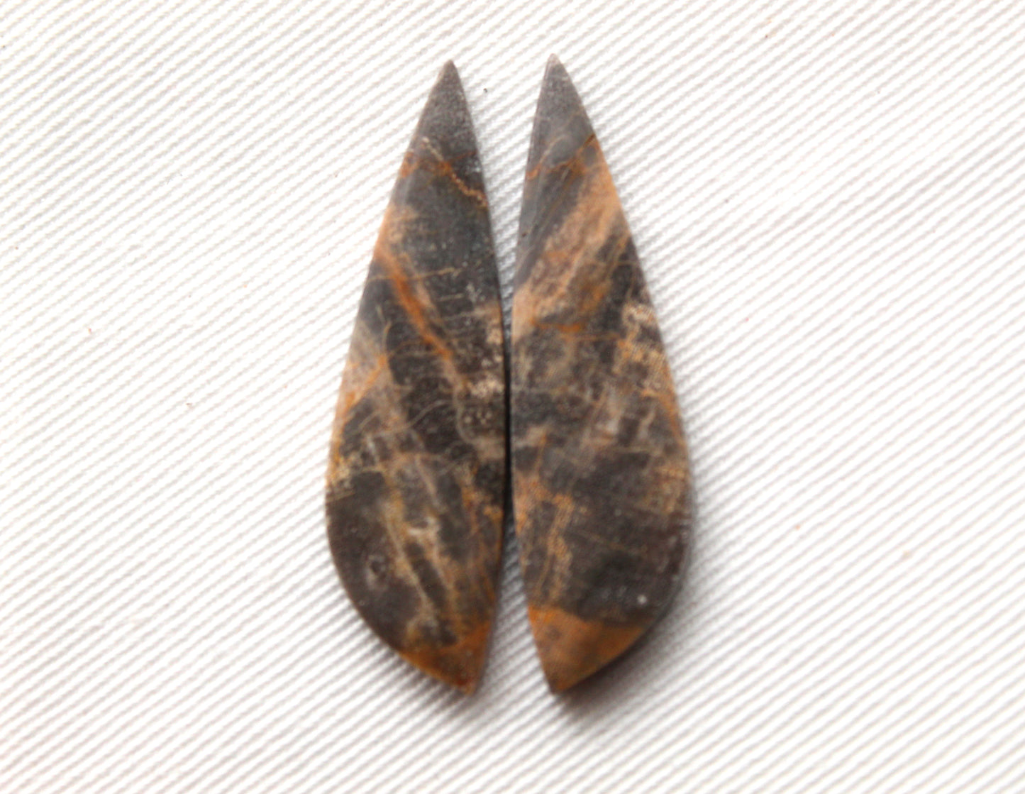 Nice pair of Petrified Wood Cabochons