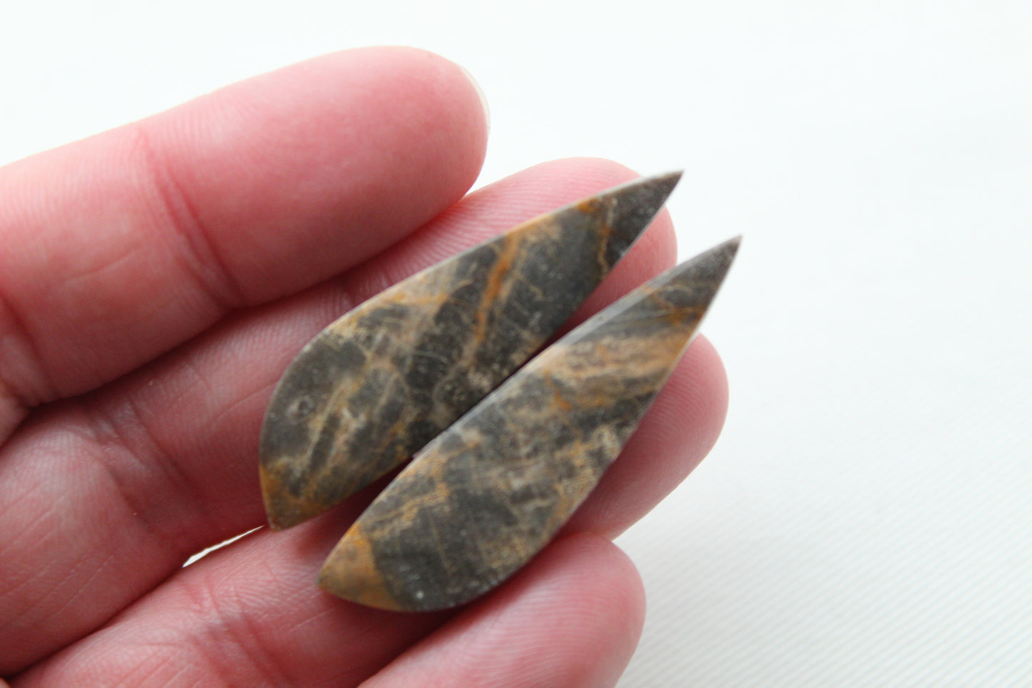 Nice pair of Petrified Wood Cabochons
