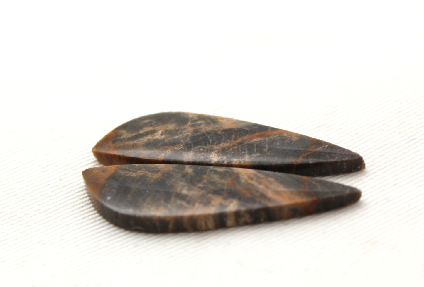 Nice pair of Petrified Wood Cabochons