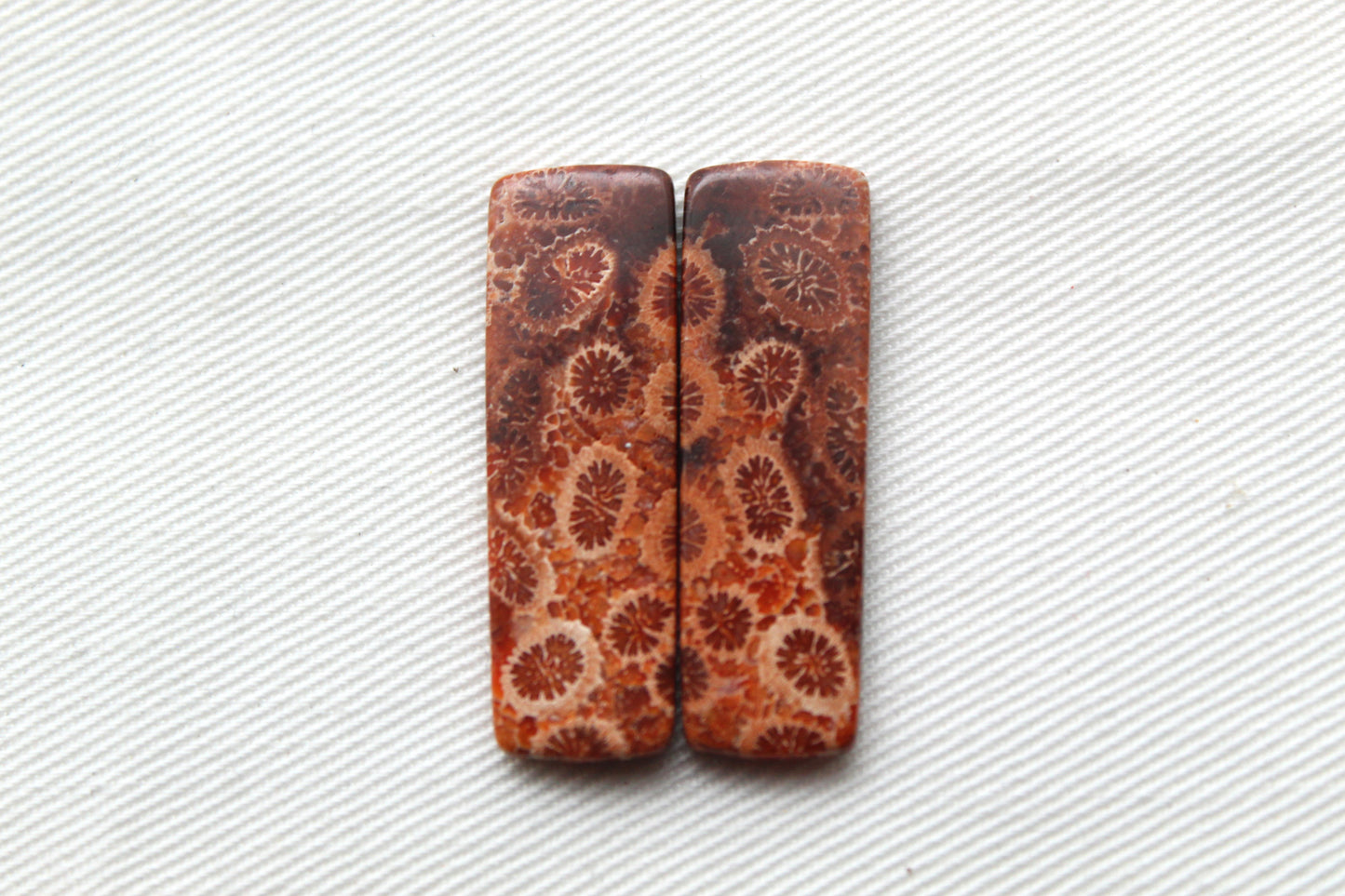 Fossilized Coral THIN Pair of Gemstones cabochon beige natural