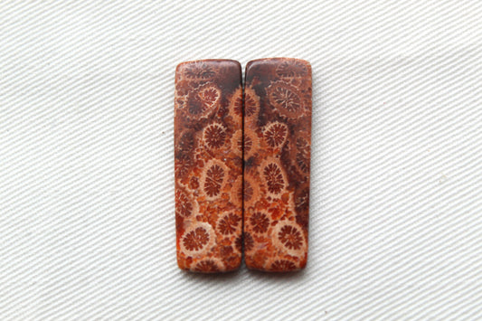 Fossilized Coral THIN Pair of Gemstones cabochon beige natural