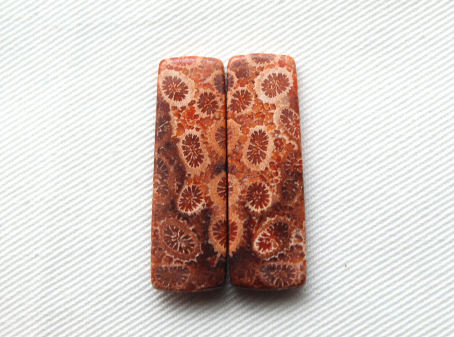 Fossilized Coral THIN Pair of Gemstones cabochon beige natural