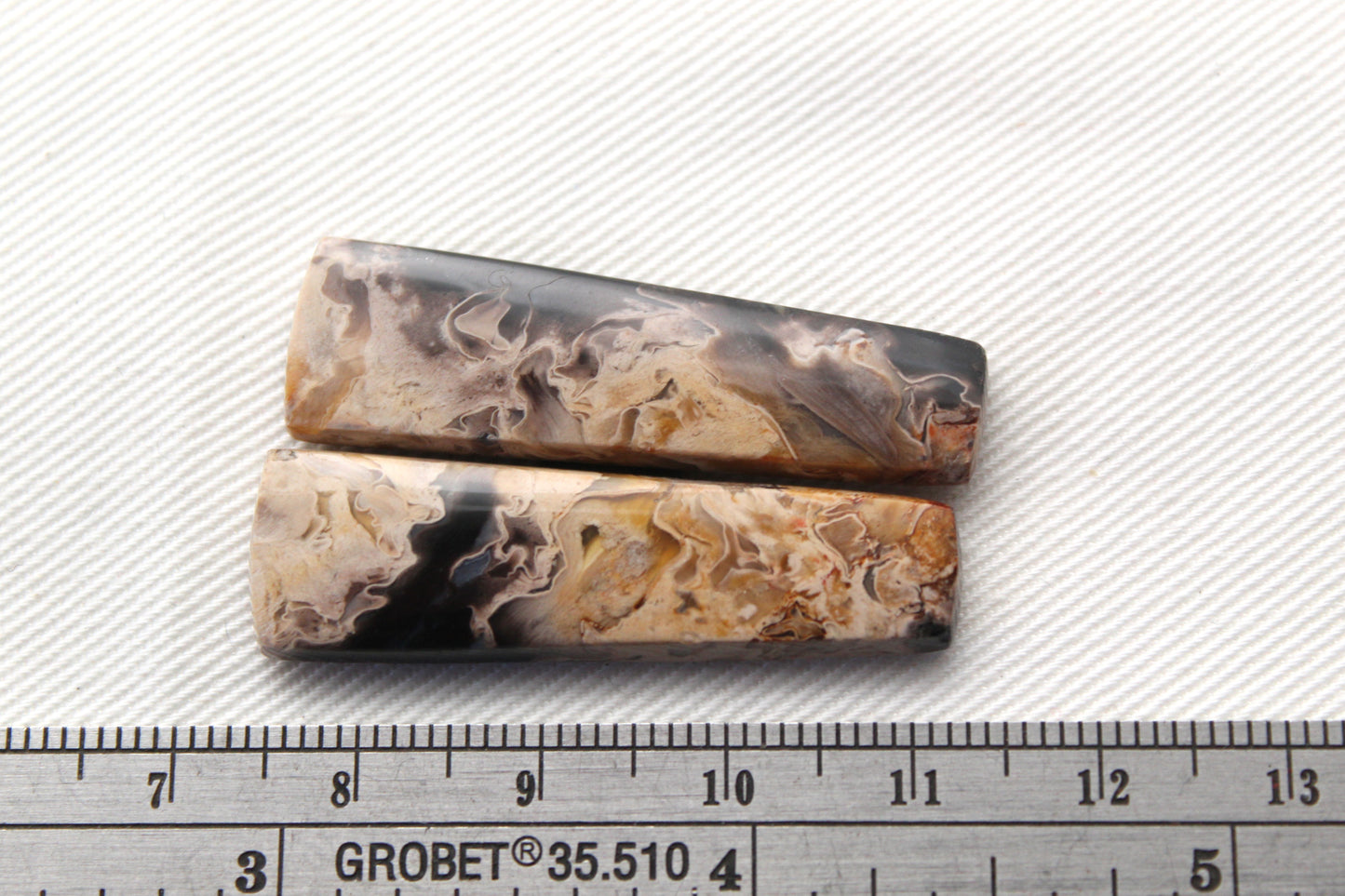 Petrified Palm Wood Cabochon Pair