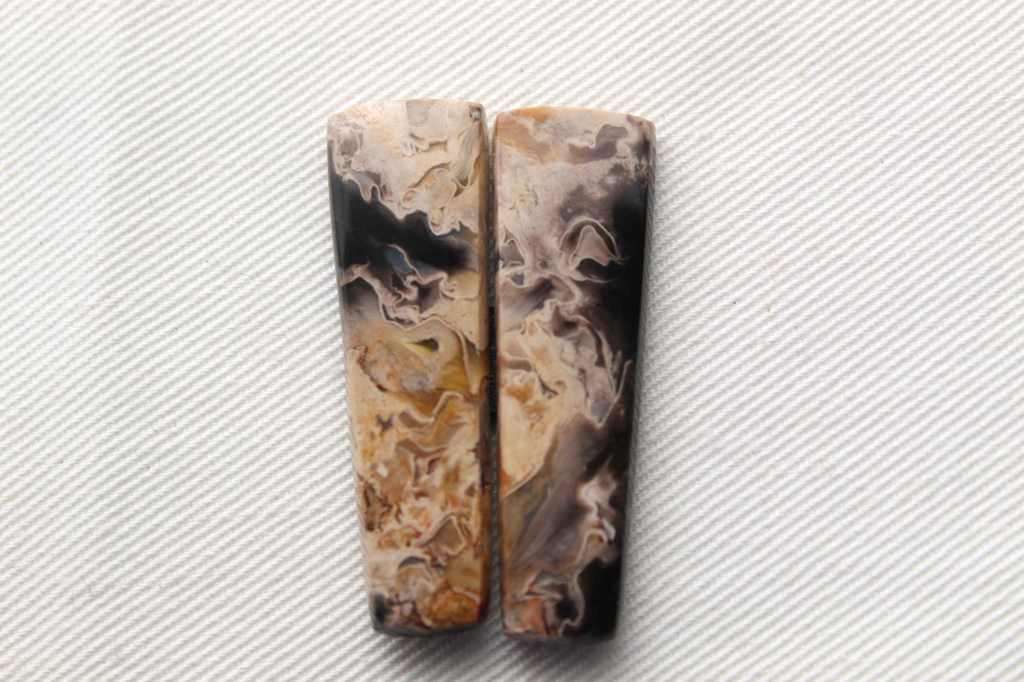 Petrified Palm Wood Cabochon Pair