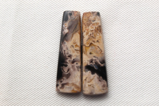 Petrified Palm Wood Cabochon Pair