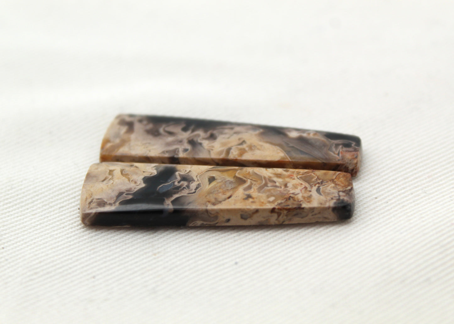 Petrified Palm Wood Cabochon Pair