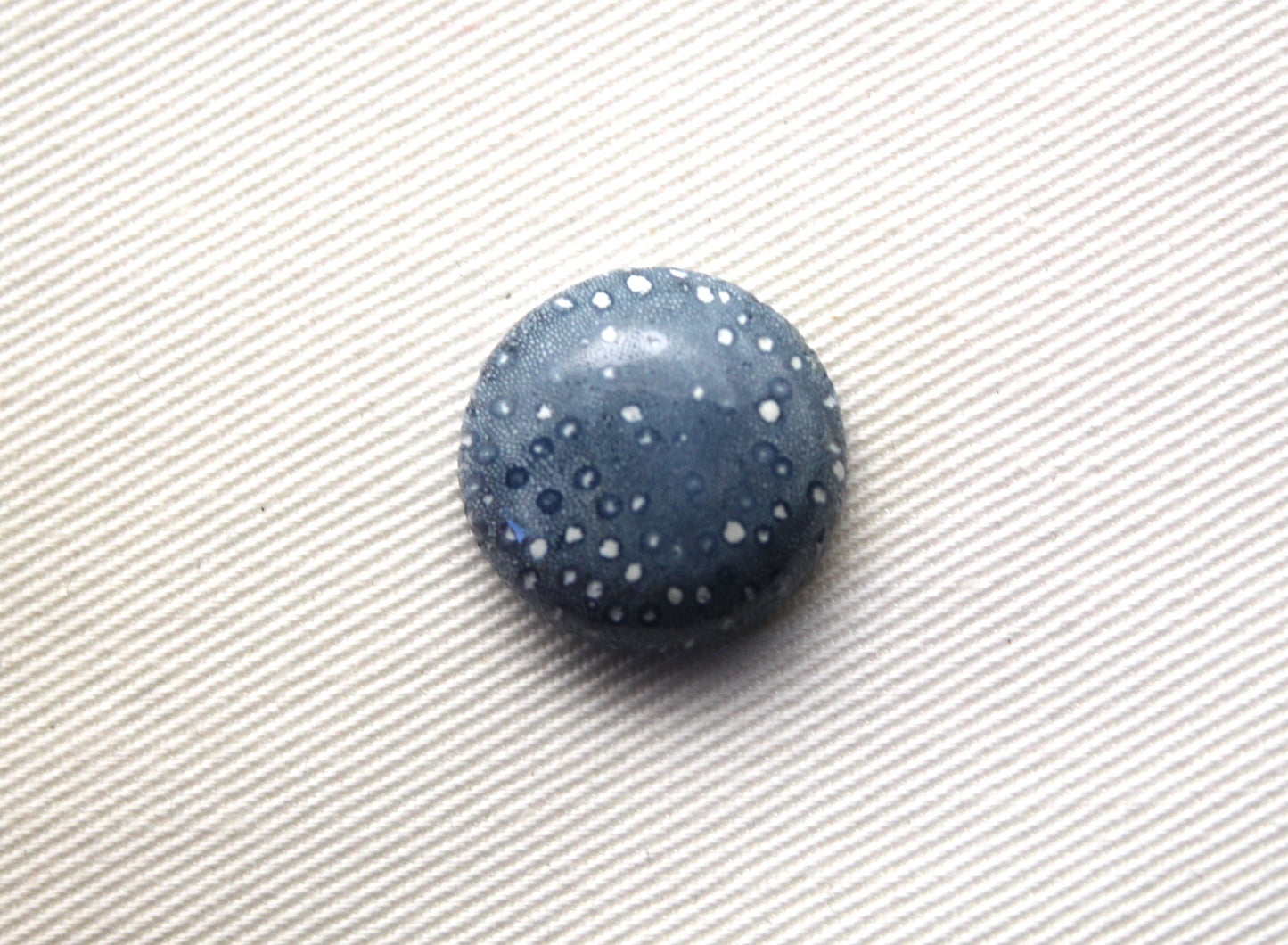 Blue Sponge Coral Gemstone round 18MM