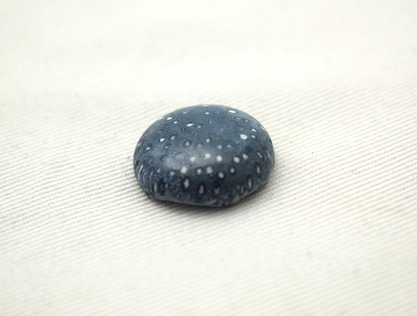 Blue Sponge Coral Gemstone round 18MM