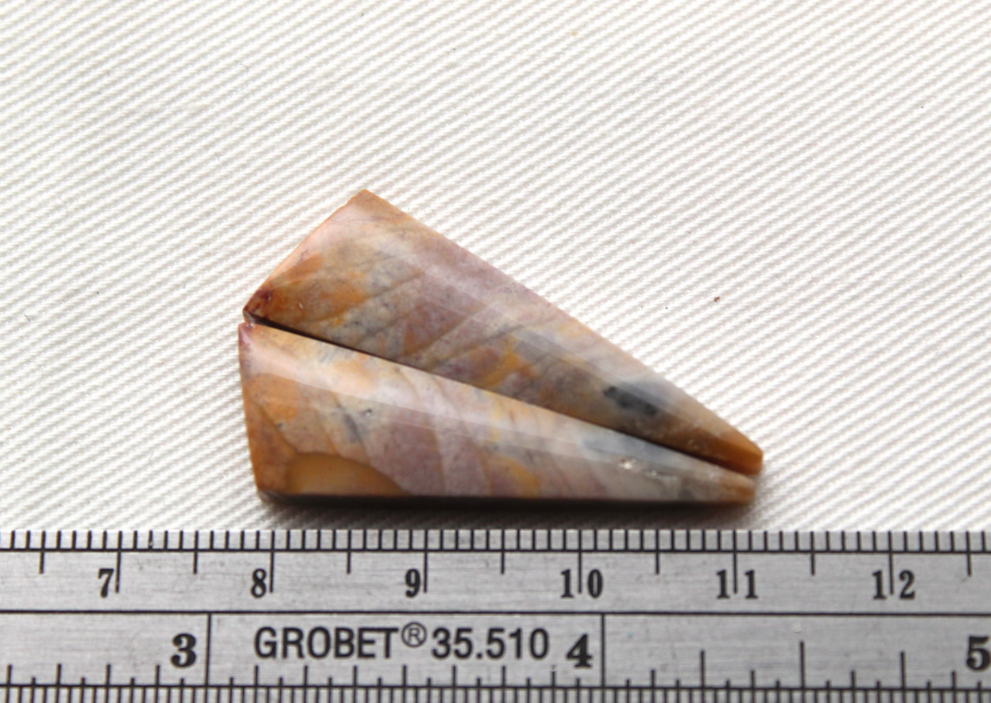 Pair of Petrified Wood Cabochons