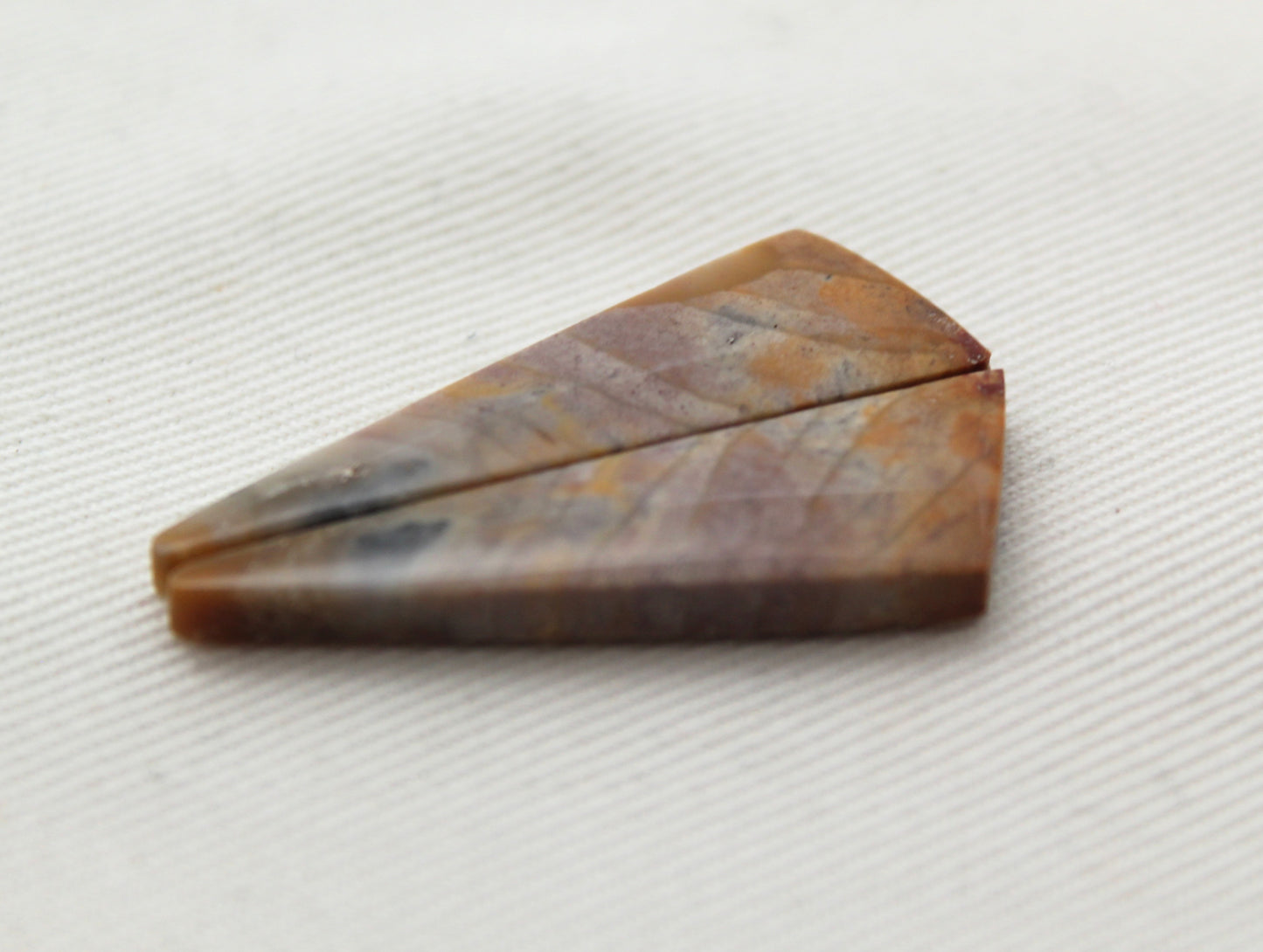 Pair of Petrified Wood Cabochons
