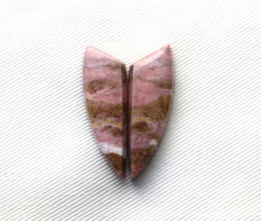 Pink Fossil Wood Pair of Gemstones cabochon natural