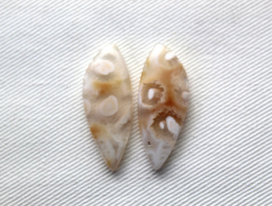 Orbicular Agate Cabochons Pair Gemstone natural