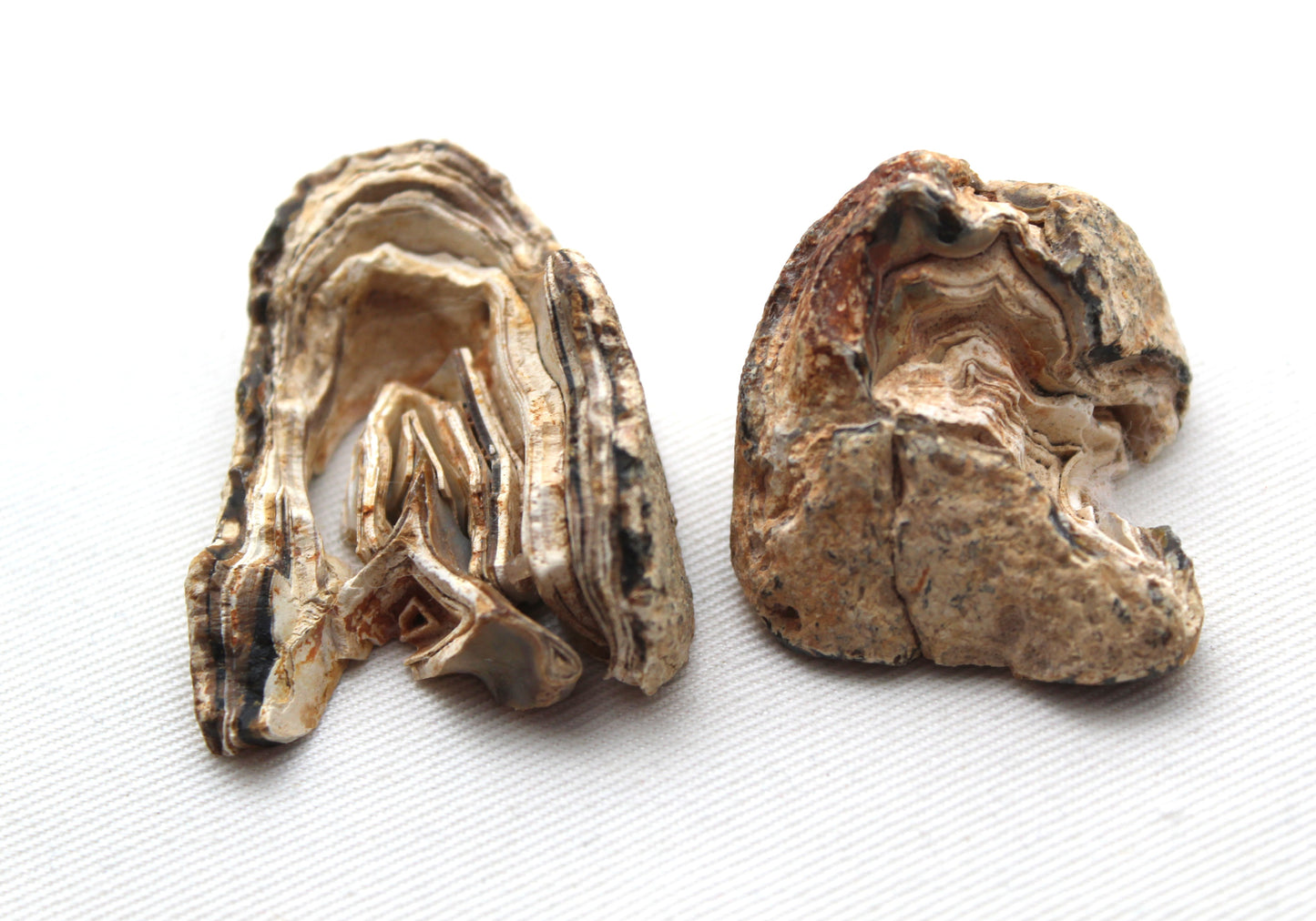 Indonesian Agate nodule polished