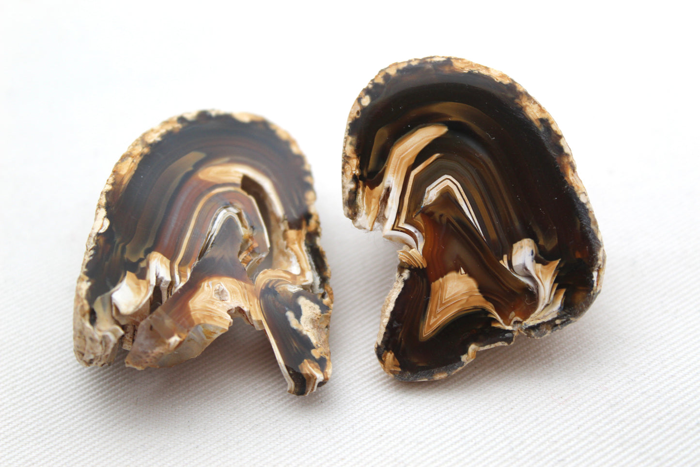 Indonesian Agate nodule polished