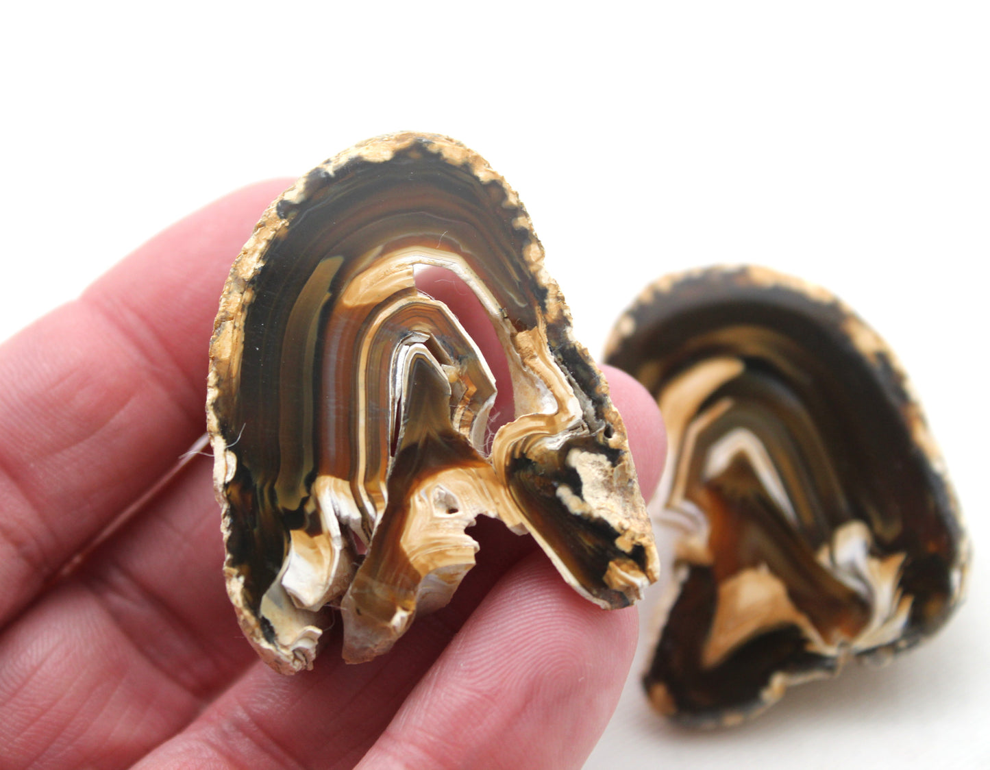 Indonesian Agate nodule polished