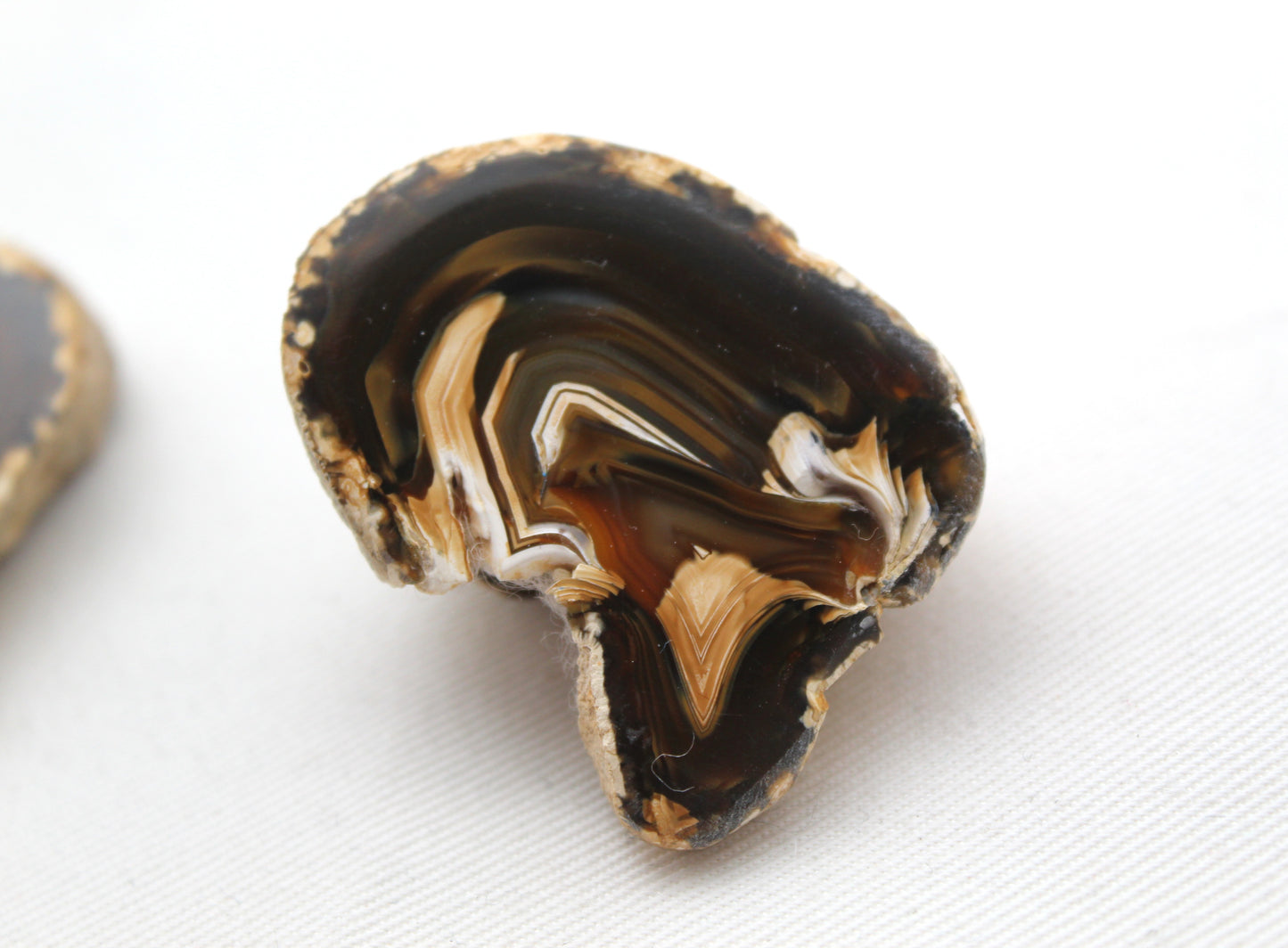 Indonesian Agate nodule polished