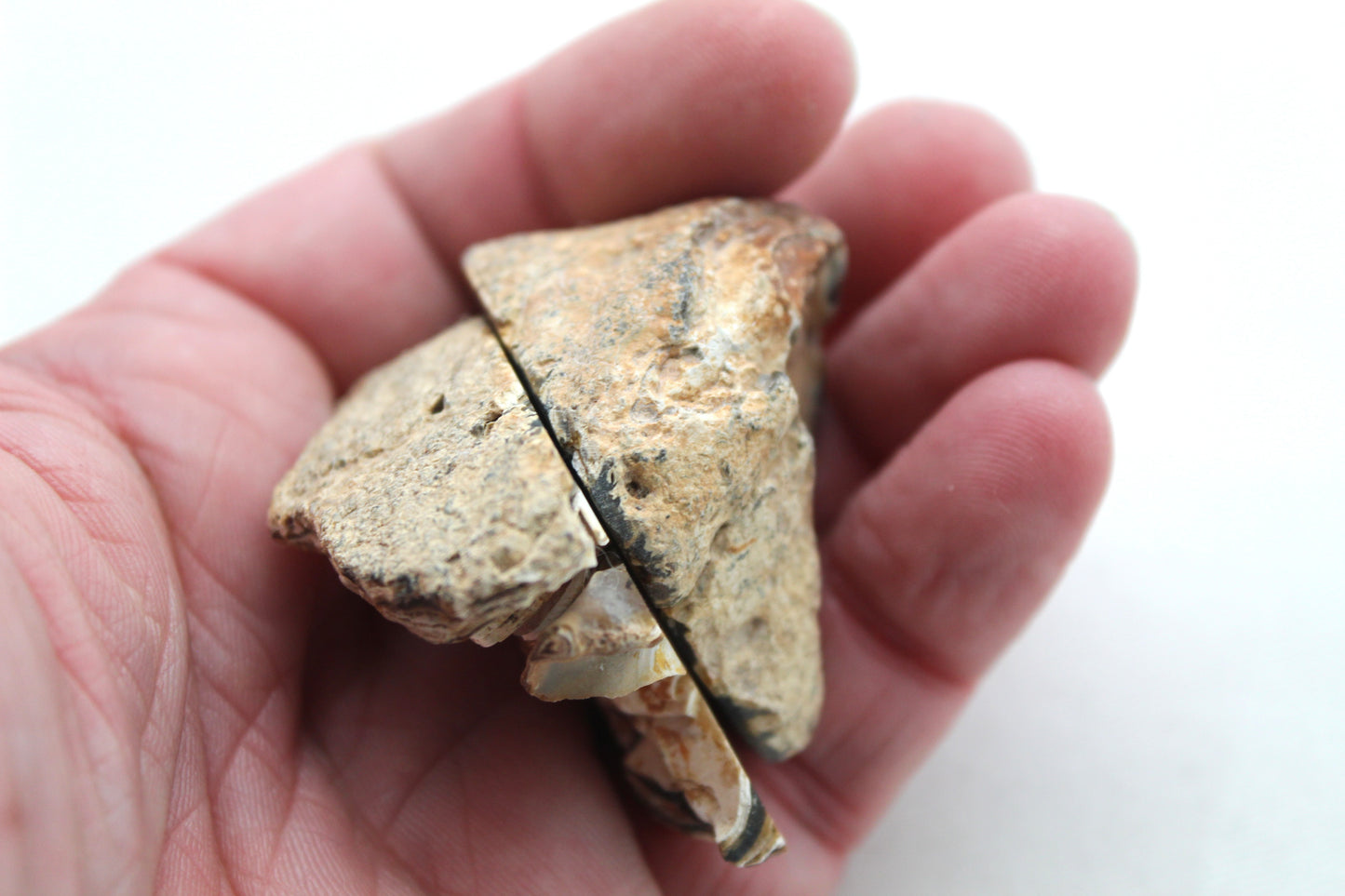 Indonesian Agate nodule polished
