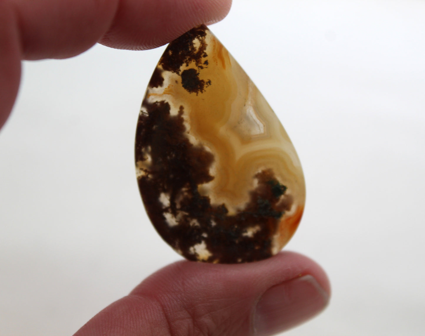 Pierre précieuse en forme de bouclier en forme de cabochon d'agate mousse verte