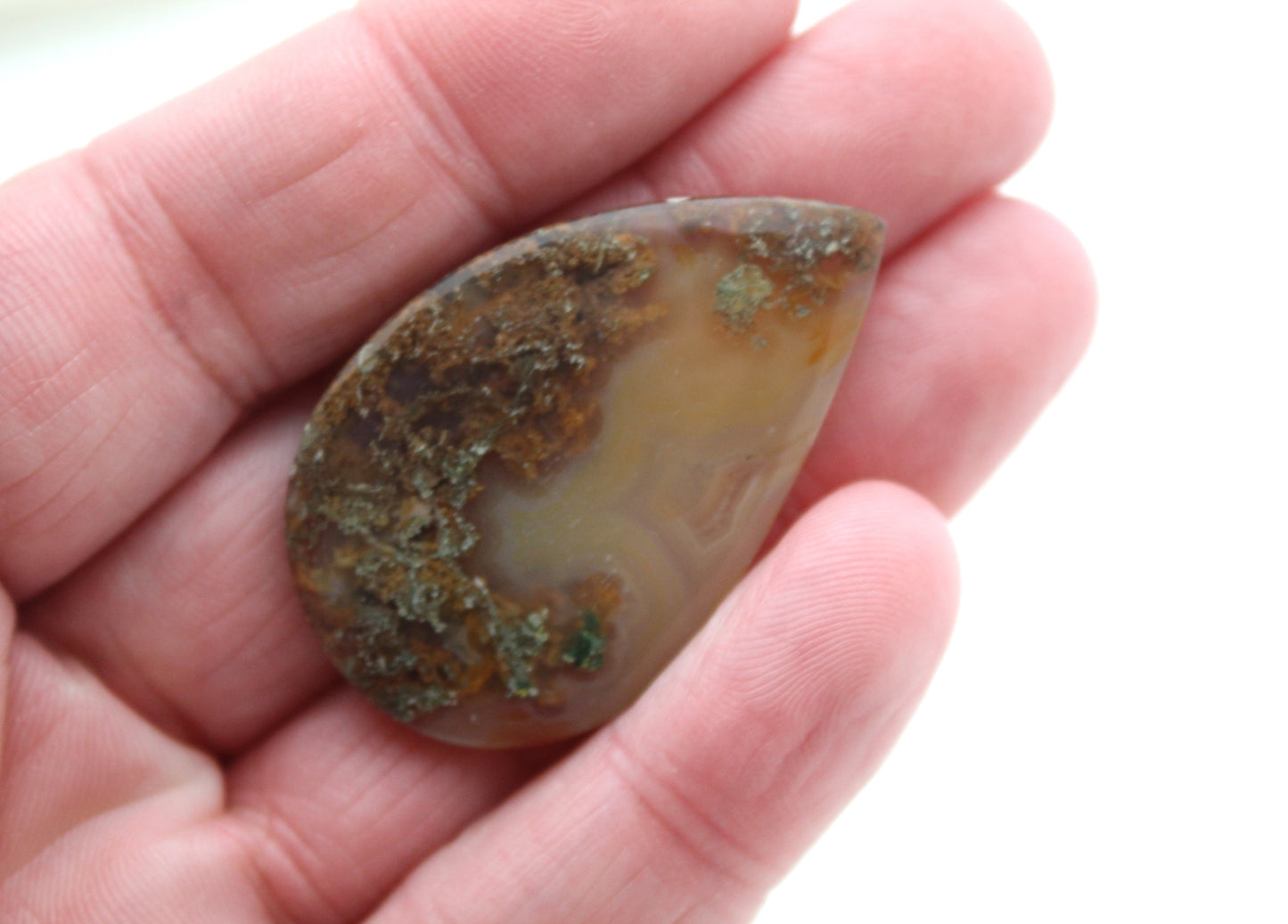 Pierre précieuse en forme de bouclier en forme de cabochon d'agate mousse verte